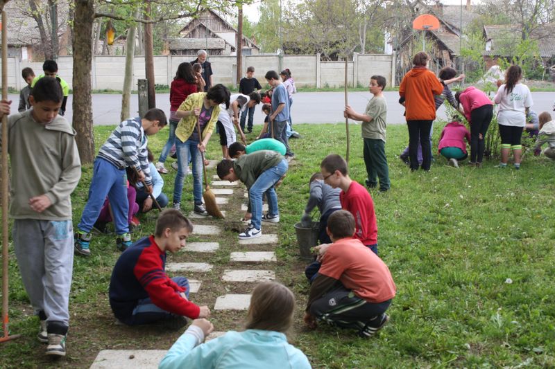 gal/A Fold Napja/IMG_7118.jpg